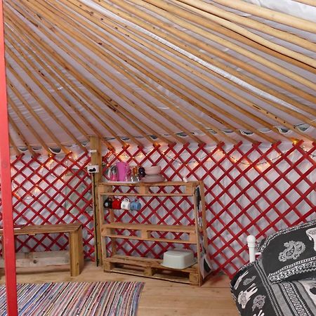 Alder Yurt Wych Elm Glamping Hotel Helston Luaran gambar