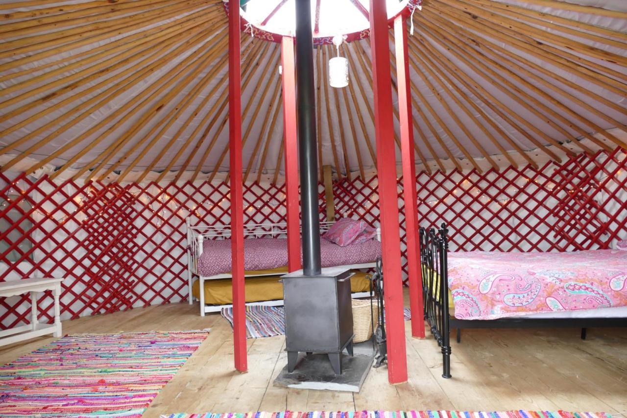 Alder Yurt Wych Elm Glamping Hotel Helston Luaran gambar
